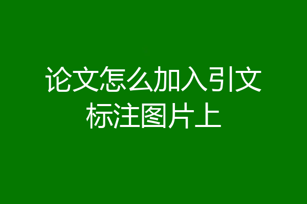 论文怎么加入引文标注图片上