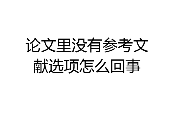 论文里没有参考文献选项怎么回事