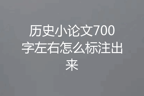 历史小论文700字左右怎么标注出来
