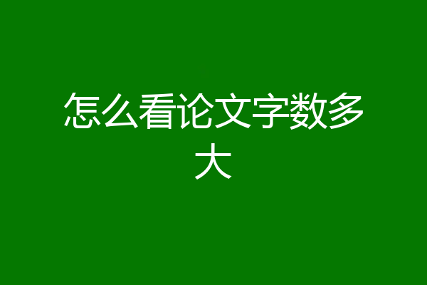 怎么看论文字数多大
