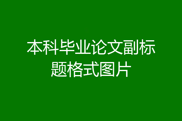 本科毕业论文副标题格式图片