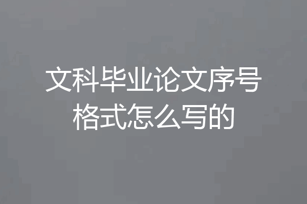 文科毕业论文序号格式怎么写的