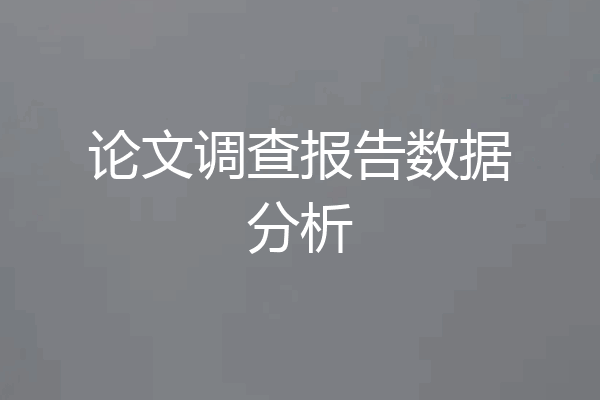 论文调查报告数据分析