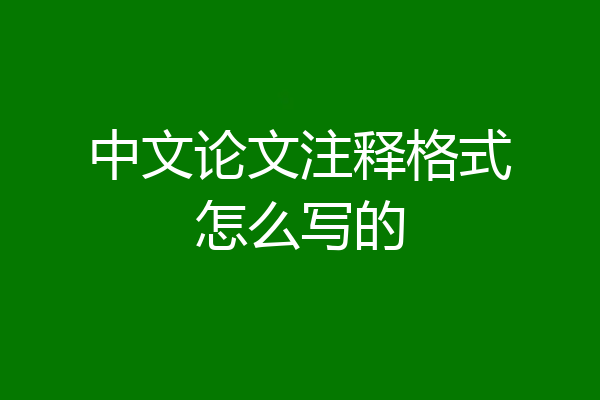 中文论文注释格式怎么写的