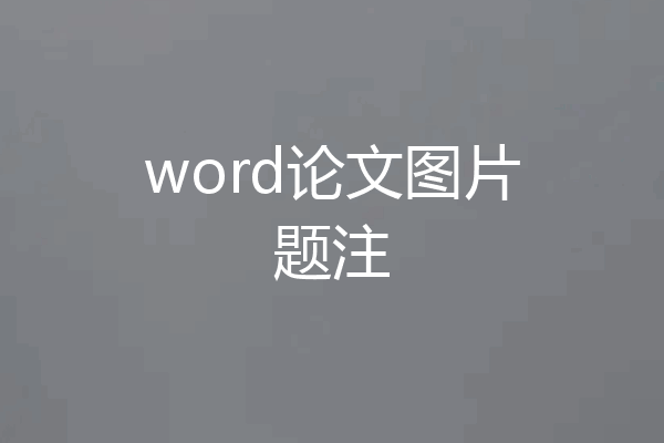 word论文图片题注