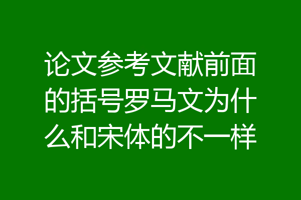 论文参考文献前面的括号罗马文为什么和宋体的不一样