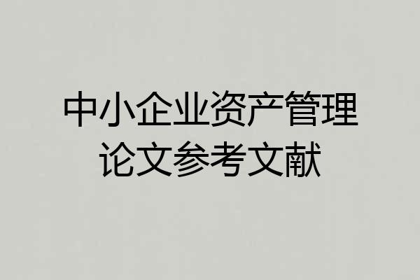 中小企业资产管理论文参考文献