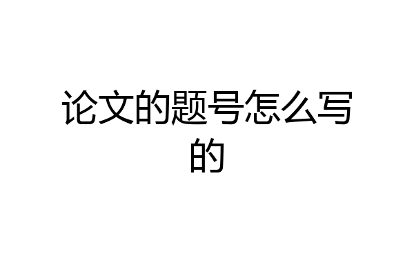 论文的题号怎么写的