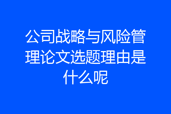 公司战略与风险管理论文选题理由是什么呢