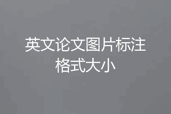 英文论文图片标注格式大小