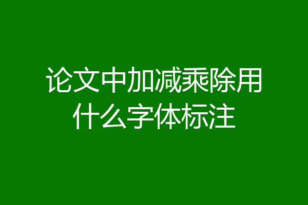 论文中加减乘除用什么字体标注