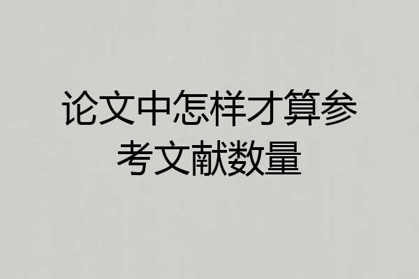 论文中怎样才算参考文献数量