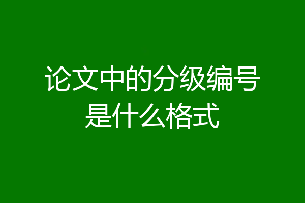 论文中的分级编号是什么格式