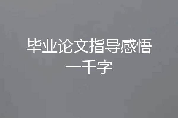 毕业论文指导感悟一千字