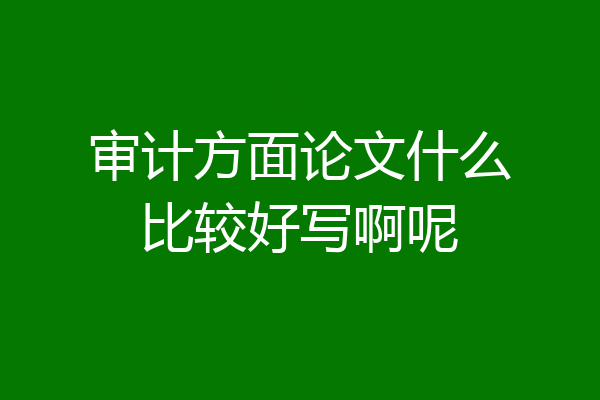 审计方面论文什么比较好写啊呢