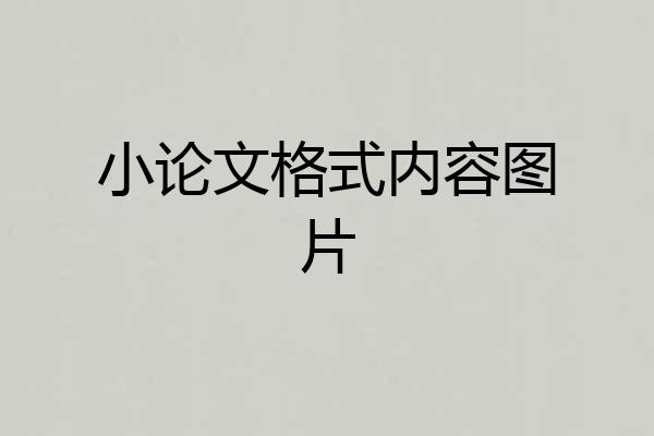 小论文格式内容图片