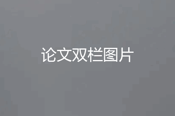 论文双栏图片