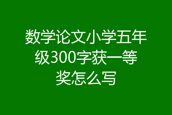 数学论文小学五年级300字获一等奖怎么写