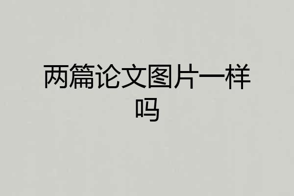 两篇论文图片一样吗