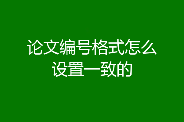 论文编号格式怎么设置一致的