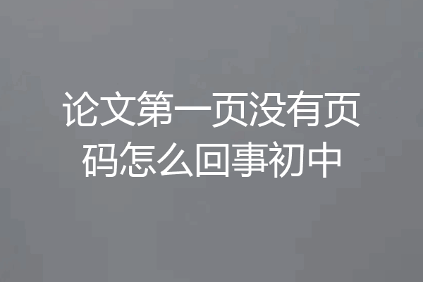 论文第一页没有页码怎么回事初中
