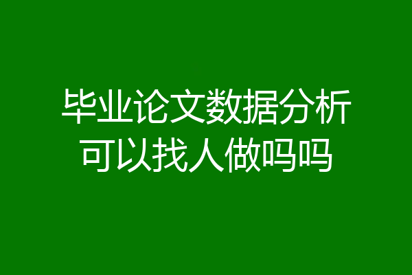 毕业论文数据分析可以找人做吗吗