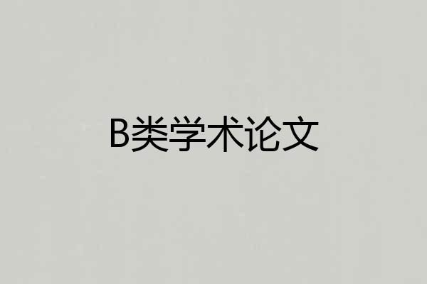 B类学术论文