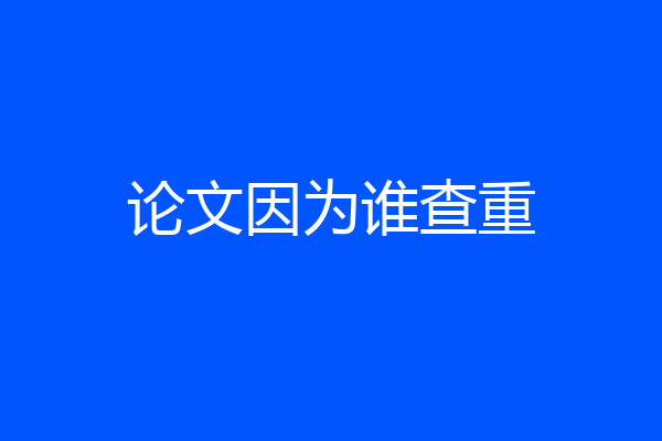 论文因为谁查重