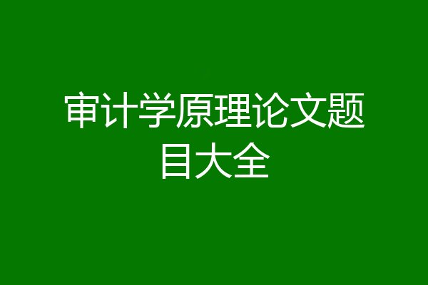 审计学原理论文题目大全