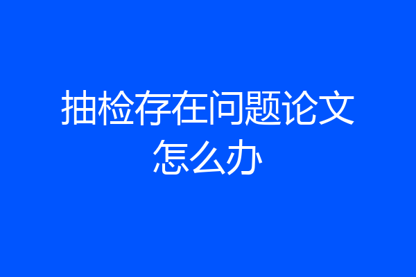 抽检存在问题论文怎么办