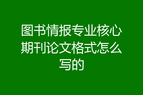 图书情报专业核心期刊论文格式怎么写的