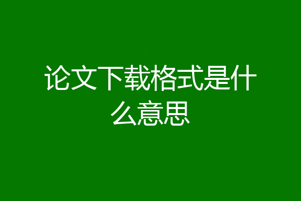 论文下载格式是什么意思