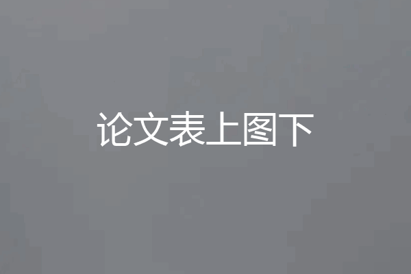 论文表上图下