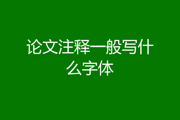 论文注释一般写什么字体