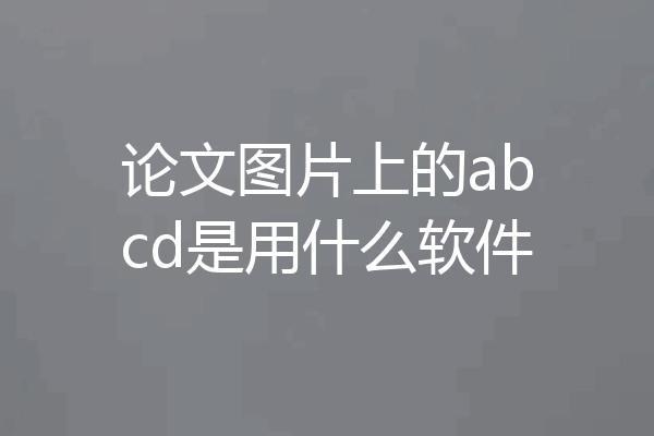 论文图片上的abcd是用什么软件