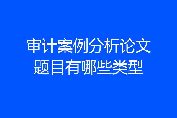 审计案例分析论文题目有哪些类型