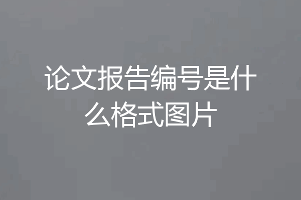 论文报告编号是什么格式图片