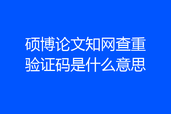 硕博论文知网查重验证码是什么意思