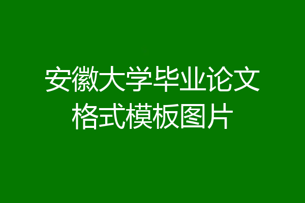 安徽大学毕业论文格式模板图片