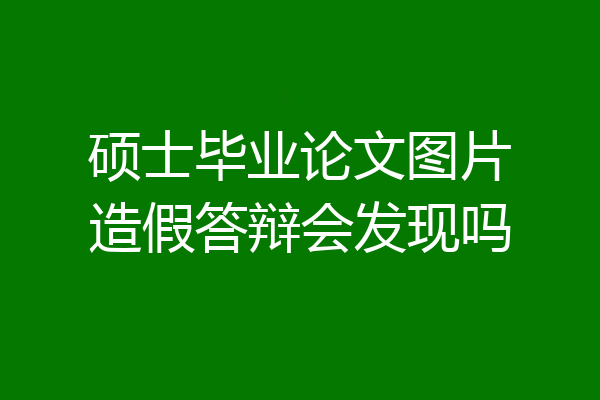 硕士毕业论文图片造假答辩会发现吗