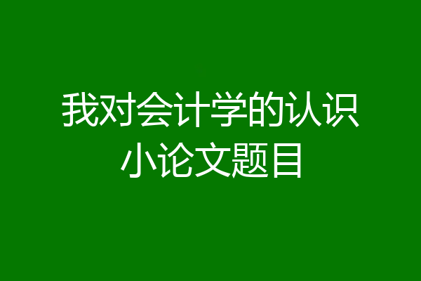 我对会计学的认识小论文题目