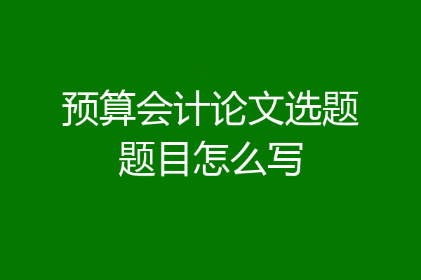 预算会计论文选题题目怎么写