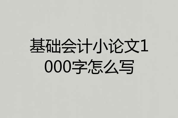 基础会计小论文1000字怎么写