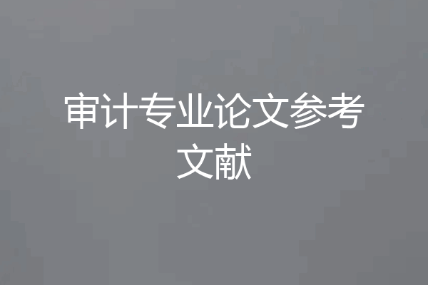 审计专业论文参考文献