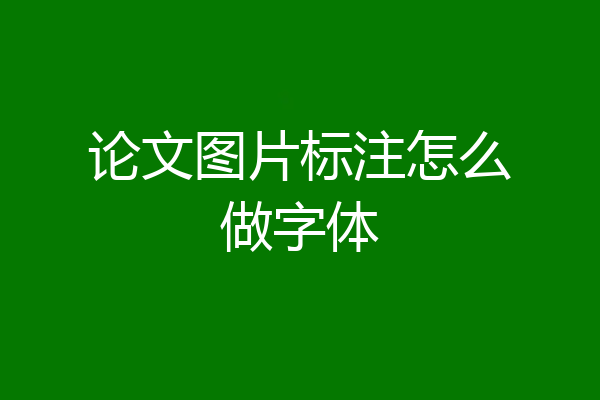 论文图片标注怎么做字体
