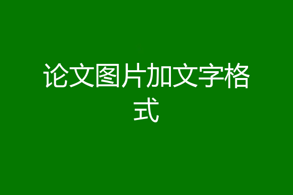 论文图片加文字格式