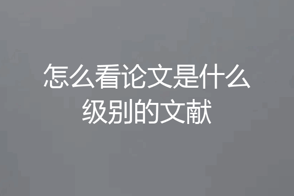 怎么看论文是什么级别的文献