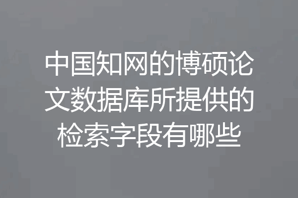 中国知网的博硕论文数据库所提供的检索字段有哪些