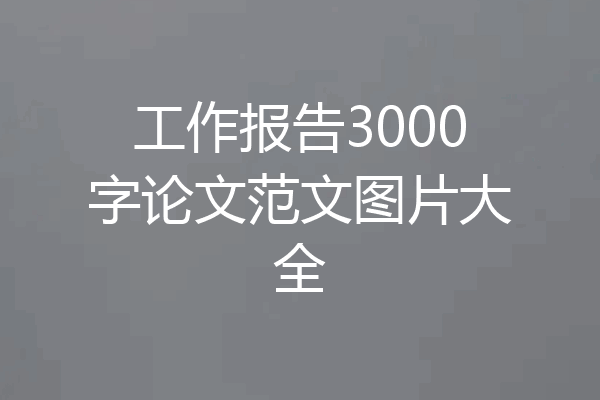 工作报告3000字论文范文图片大全