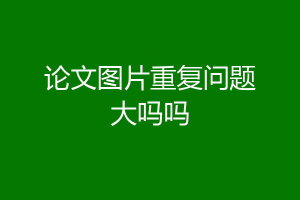 论文图片重复问题大吗吗